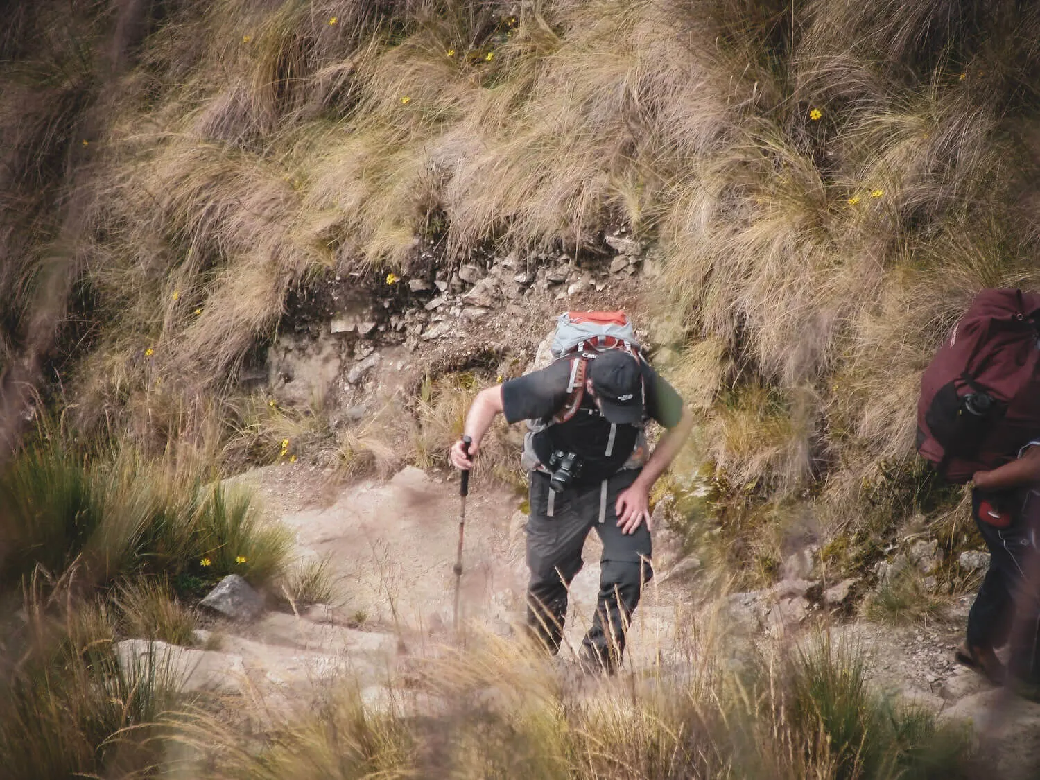 Hiker climbing a steep section of the Inca Trail with trekking poles