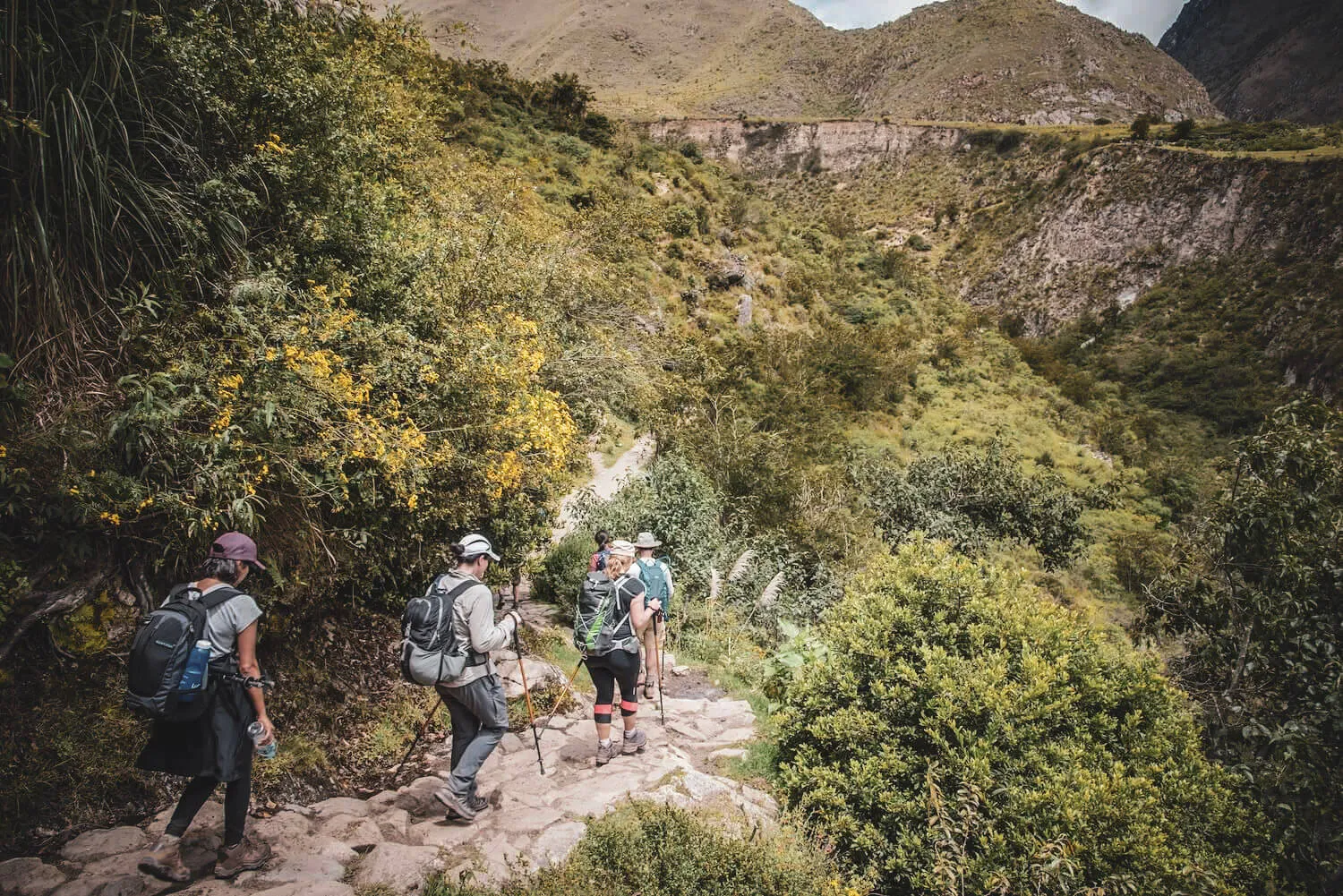 Hikers descending stone trail through increasingly dense mountain vegetation