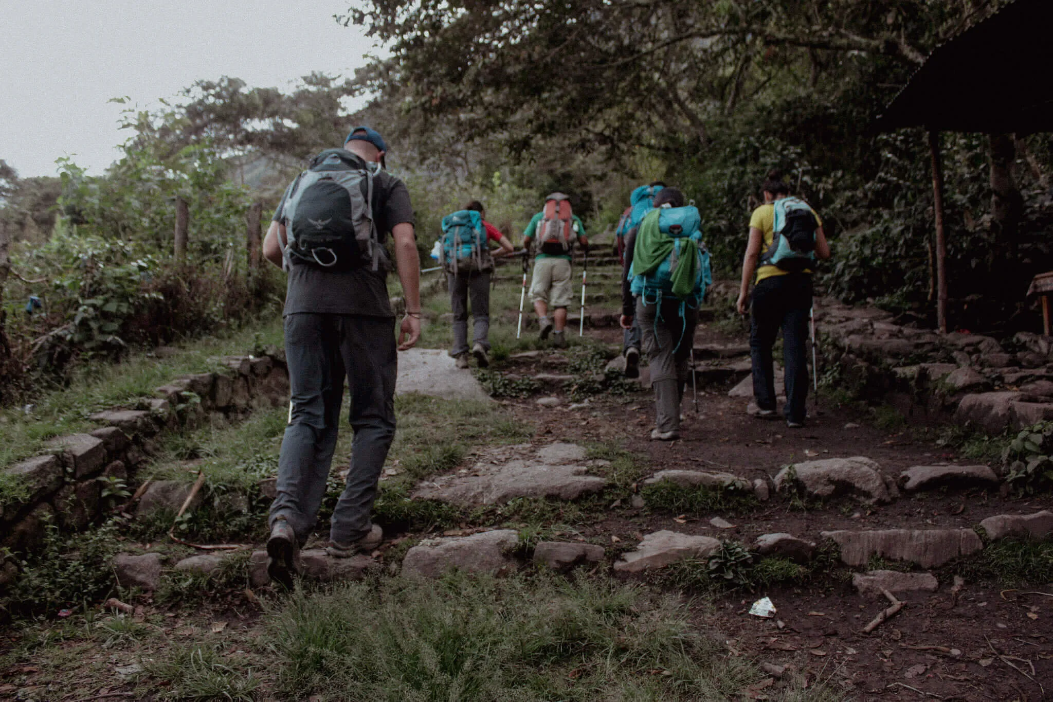 Hikers climbing damp, uneven stone steps on the Inca Trail