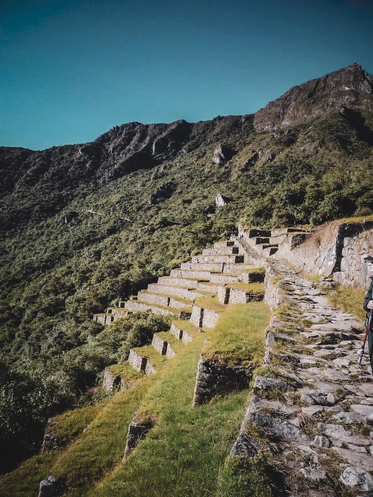 Machu Picchu seen from the final Inca Trail approach