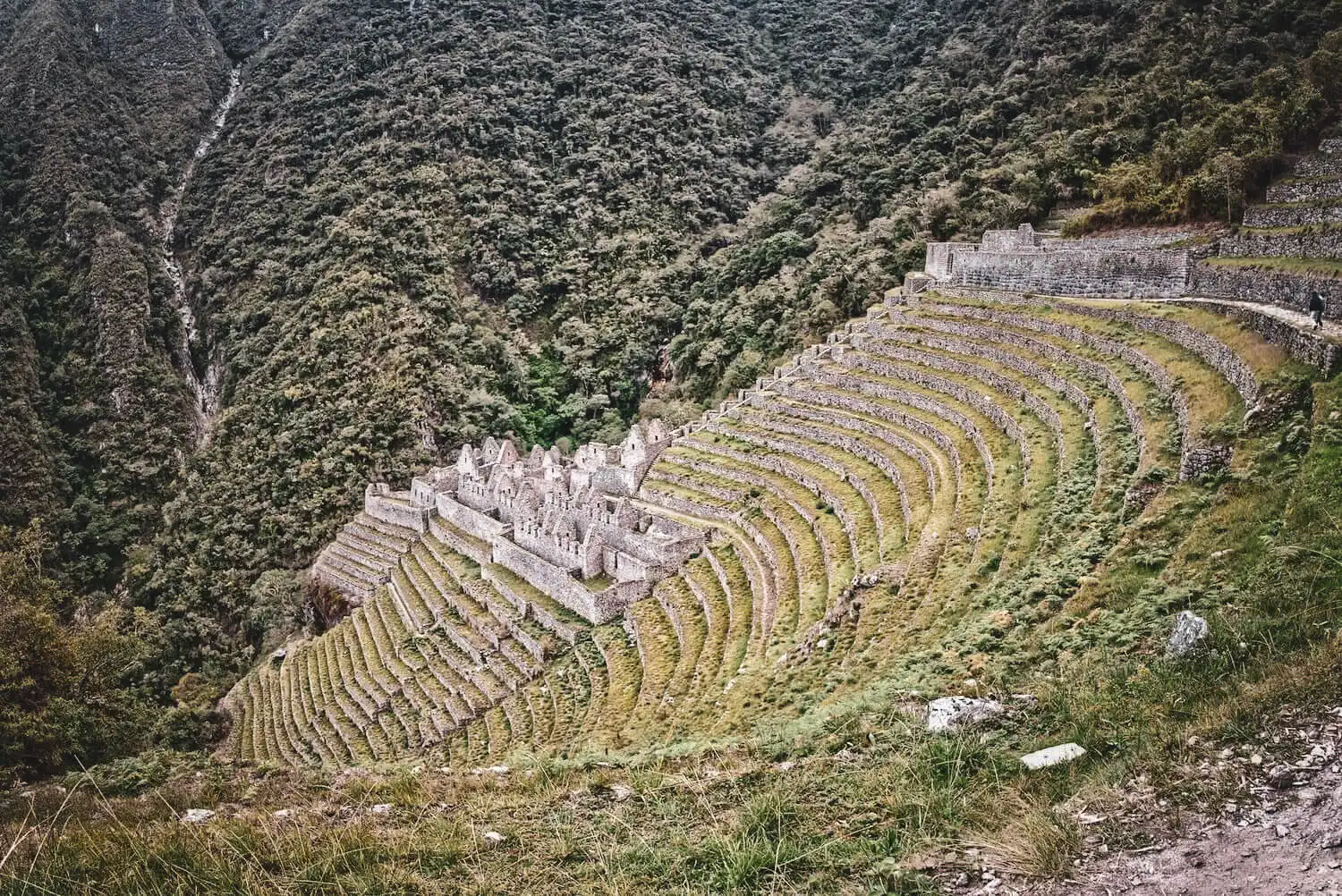 Wiñay Wayna terraces surrounded by cloud forest on the Short Inca Trail